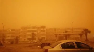 تحذير الأرصاد.. 4 ظواهر جوية تسيطر على طقس الأحد في كافة المحافظات